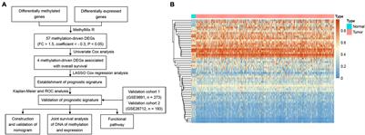 Development and Validation of a Prognostic Nomogram Based on DNA Methylation-Driven Genes for Patients With Ovarian Cancer